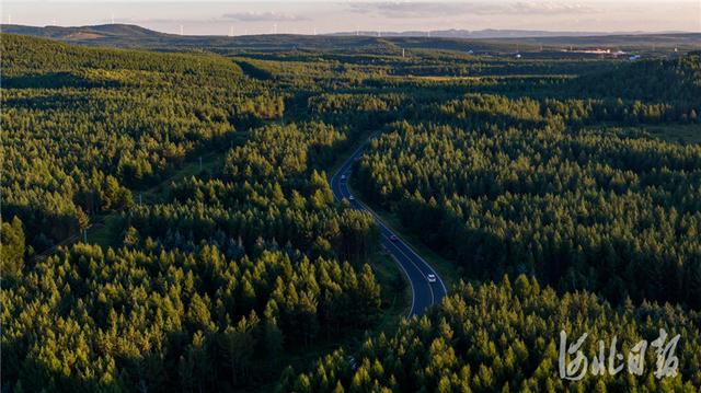 塞罕坝林场在哪里，塞罕坝林场在哪里离北京多远（河北承德：更绿、更美塞罕坝）