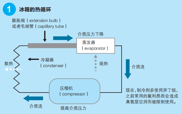 拱形桥的物理解释，课堂上老师不讲的有趣物理知识