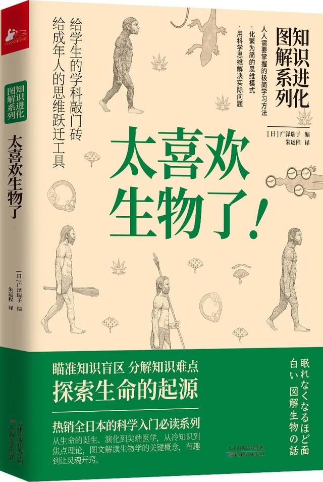 拱形桥的物理解释，课堂上老师不讲的有趣物理知识