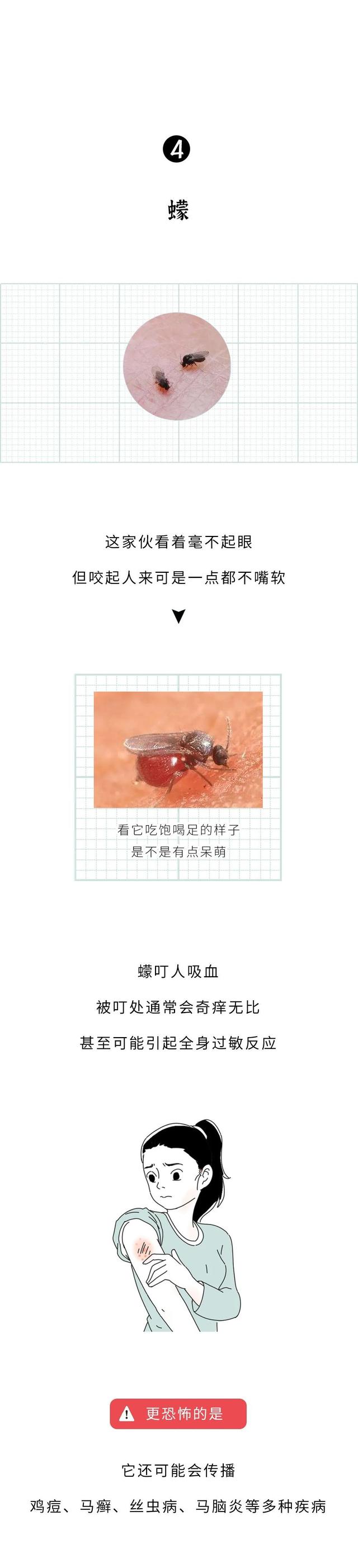 家里常见的虫子，家庭生活中常见的虫子（还有这10种家里的虫子……）