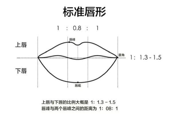 圆号嘴型分解图图片