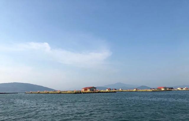 怎么清蒸大黄鱼好吃，就能get一盘鲜嫩的大黄鱼