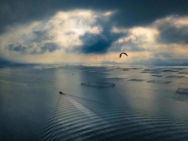 怎么清蒸大黄鱼好吃，就能get一盘鲜嫩的大黄鱼