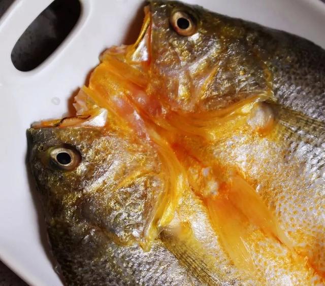 怎么清蒸大黄鱼好吃，就能get一盘鲜嫩的大黄鱼
