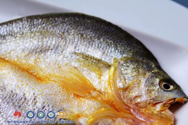 怎么清蒸大黄鱼好吃，就能get一盘鲜嫩的大黄鱼