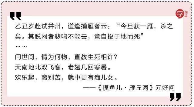 月色真美啊是什么梗，今晚的月色真美是什么梗（看不懂这些骚气的表白密码）