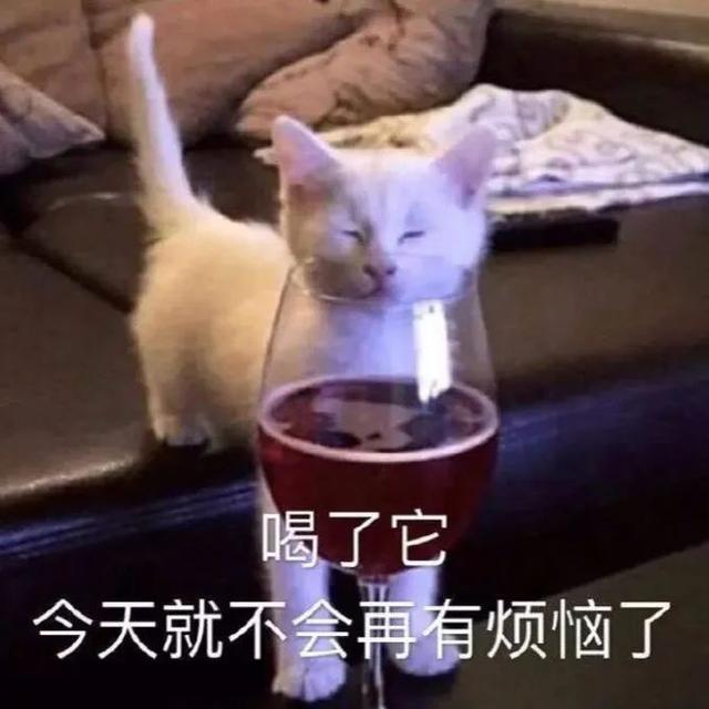 月色真美啊是什么梗，今晚的月色真美是什么梗（看不懂这些骚气的表白密码）