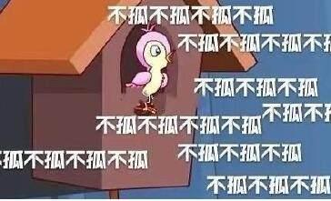 川/小青蛙，微信头像，川/小青蛙（七夕青蛙孤寡表情包汇总）