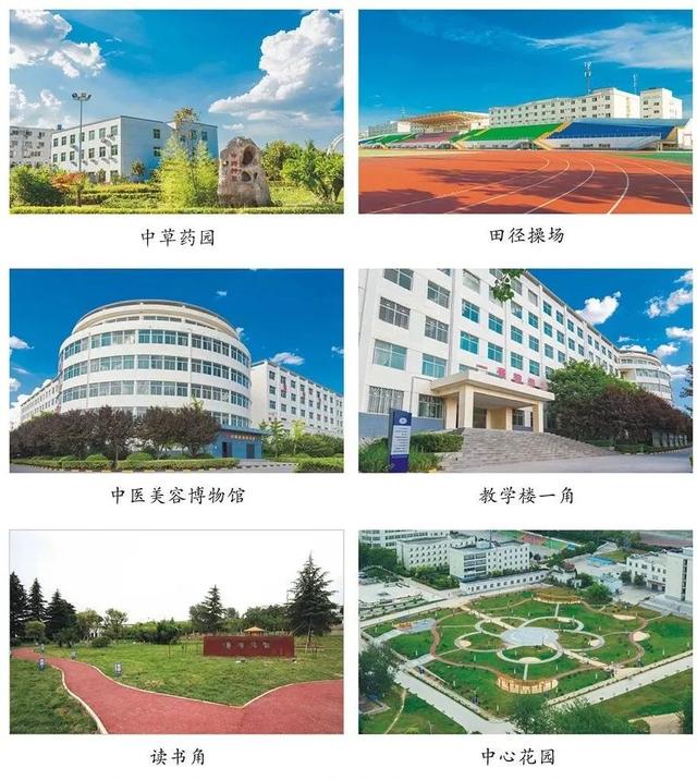 西安海棠学院怎么样，西安海棠职业学院怎么样（欢迎报考国家医学类综合类统招高校—西安海棠职业学院）