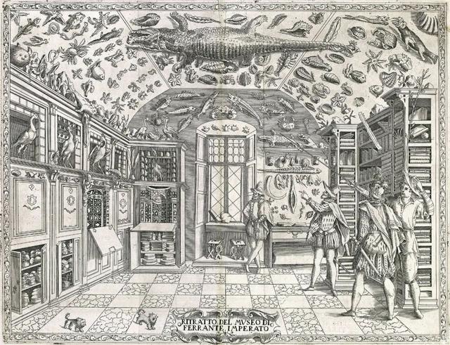 形而上学唯物主义例子20个，形而上学的观点（好奇柜：唯物主义的形而上学）