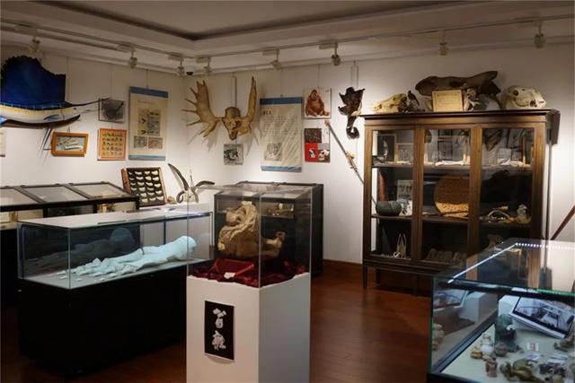 形而上学唯物主义例子20个，形而上学的观点（好奇柜：唯物主义的形而上学）