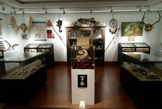 形而上学唯物主义例子20个，形而上学的观点（好奇柜：唯物主义的形而上学）