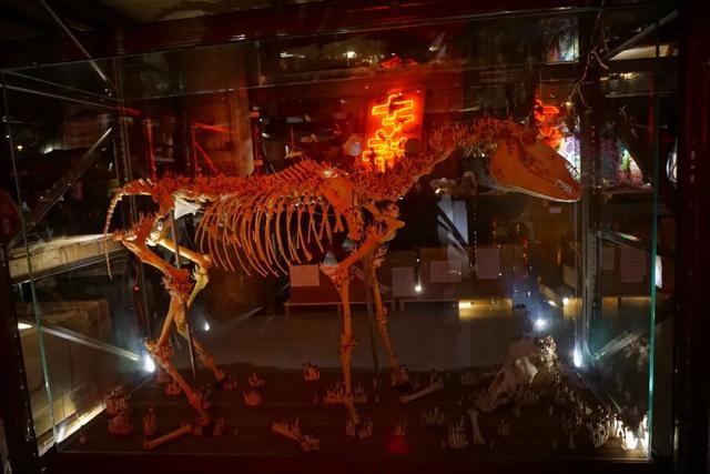 形而上学唯物主义例子20个，形而上学的观点（好奇柜：唯物主义的形而上学）