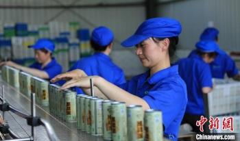 红皮莲子需要去皮吗，红皮莲子需要去皮吗图片（建莲产业“三级跳”百姓腰包鼓起来）