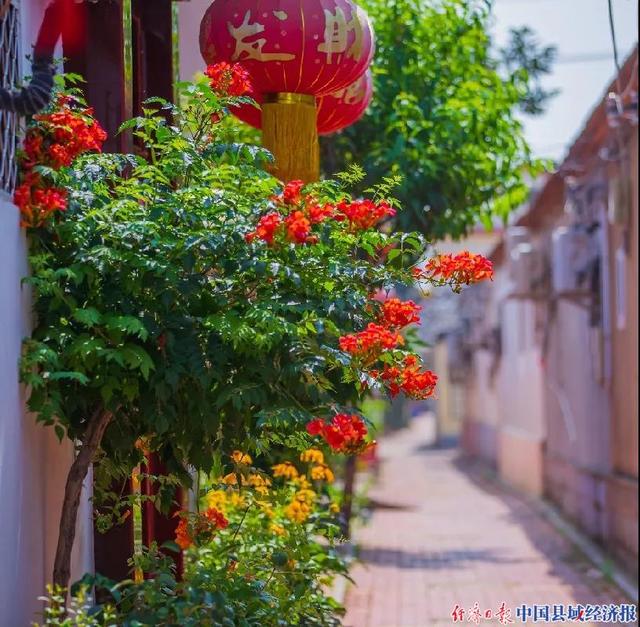 赣榆是哪个省的城市，陇是哪个省的简称（江苏连云港赣榆区让城市美丽宜居）