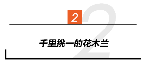 刘亦菲晒生活照被批不修边幅，挺久没有见过这样的刘亦菲了