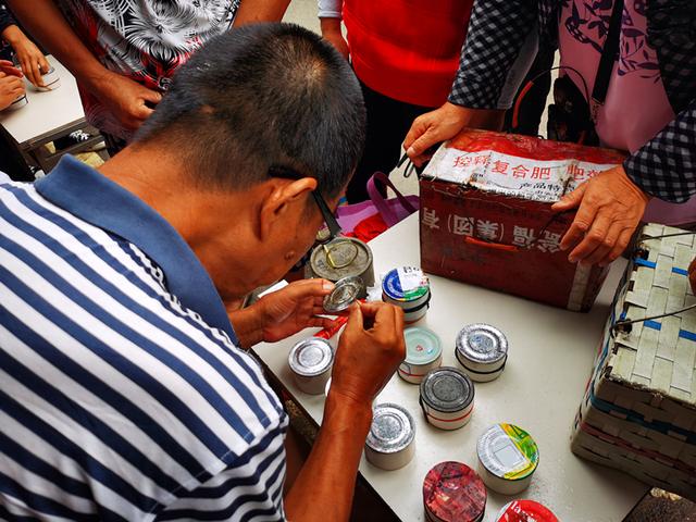 张宁阳少将逝世，张海洋上将（11万元天价蛐蛐是怎么炼成的）