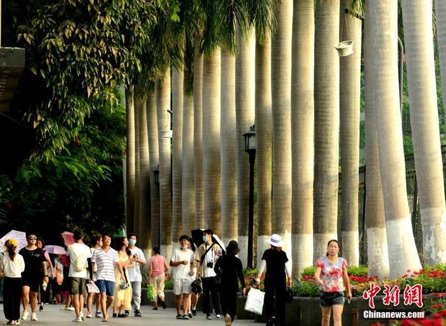 鼓浪屿在哪里个城市，鼓浪屿在哪里个城市哪个区（“音乐之岛”又闻琴响“世界遗产”重拾非遗）