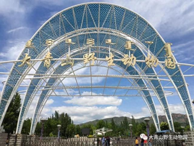 大青山野生动物园票价有优惠！约起