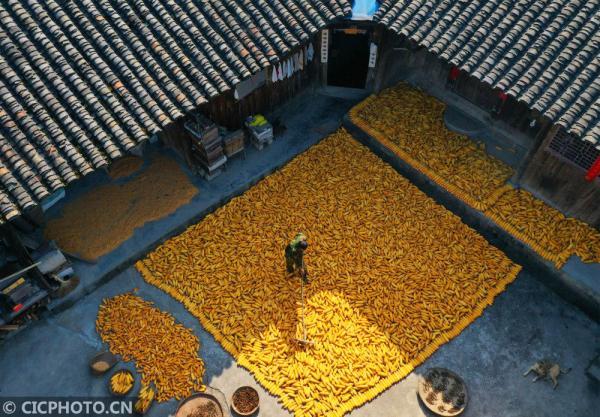 丹桂飘香是什么意思，金风送爽,丹桂飘香是什么意思（四季之歌，朝露凝白秋意凉）