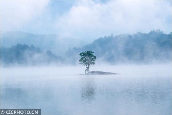 丹桂飘香是什么意思，金风送爽,丹桂飘香是什么意思（四季之歌，朝露凝白秋意凉）