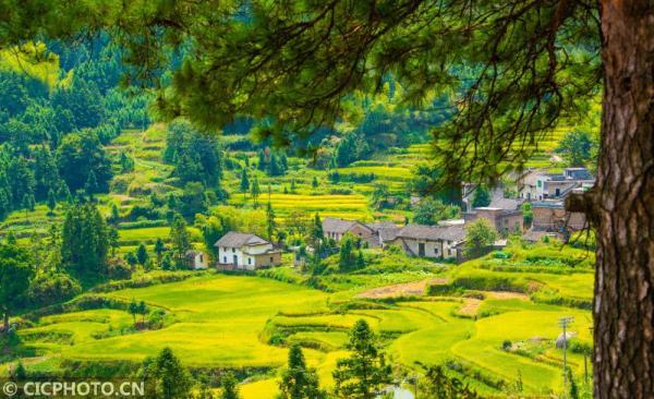 丹桂飘香是什么意思，金风送爽,丹桂飘香是什么意思（四季之歌，朝露凝白秋意凉）