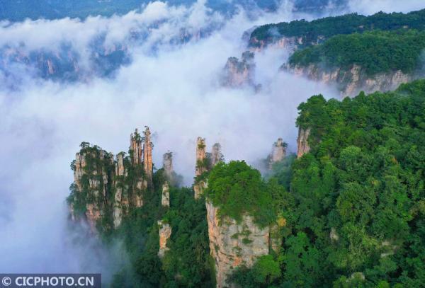 丹桂飘香是什么意思，金风送爽,丹桂飘香是什么意思（四季之歌，朝露凝白秋意凉）