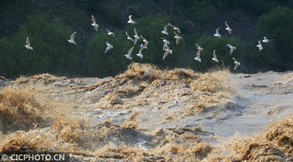 丹桂飘香是什么意思，金风送爽,丹桂飘香是什么意思（四季之歌，朝露凝白秋意凉）
