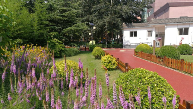 水栒子能吃吗，蚰子可以吃吗（园林人眼中的“增彩延绿”）