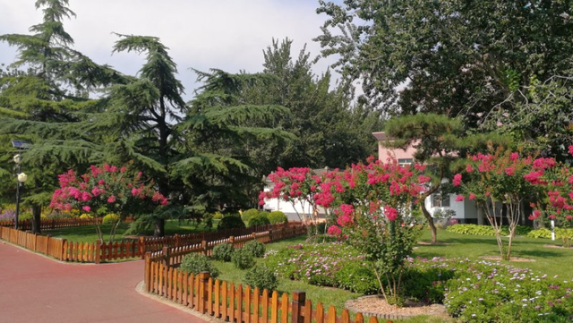 水栒子能吃吗，蚰子可以吃吗（园林人眼中的“增彩延绿”）