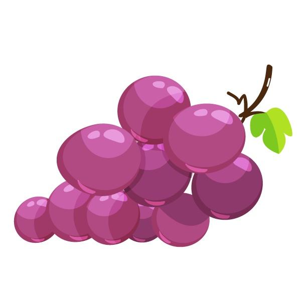 葡萄和西瓜哪个糖分高，血糖高禁吃的十大食物（这些水果含糖量大公开）