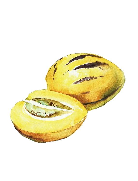 葡萄和西瓜哪个糖分高，血糖高禁吃的十大食物（这些水果含糖量大公开）