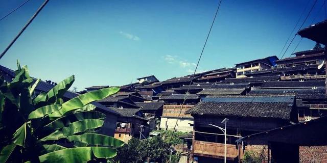 初产猪母难产掏不出会死吗，初产母猪难产多久会死（杨满弟家的“脱贫致富经”）