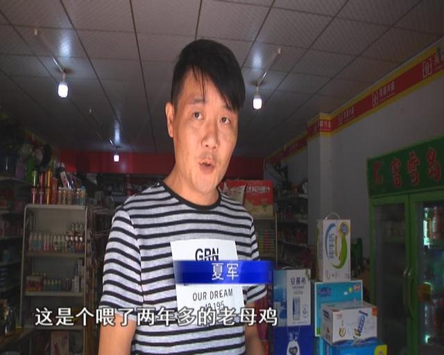 鸡宝的药用价值，鸡宝有什么作用（男子杀鸡发现“鸡宝”）