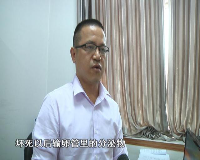 鸡宝的药用价值，鸡宝有什么作用（男子杀鸡发现“鸡宝”）