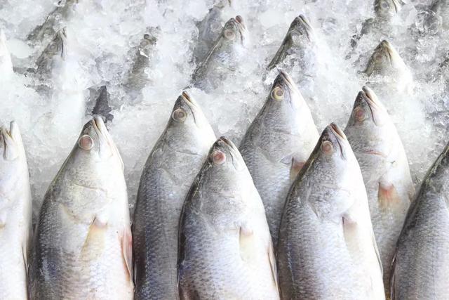 三文鱼是发物吗，三文鱼是发物吗知乎（个吃海鲜的传言）