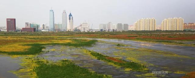 夏天哈尔滨一般是多少度，这才是哈尔滨的夏天丨收藏冰城一夏