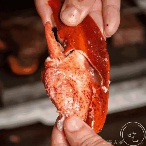 三文鱼是发物吗，三文鱼是发物吗知乎（个吃海鲜的传言）