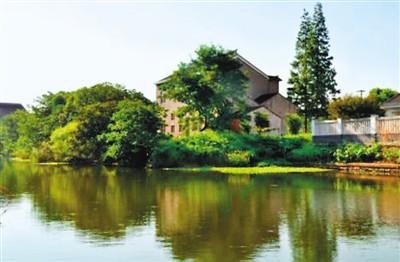 太公是什么辈分，骆字辈排行（回乡已成客）