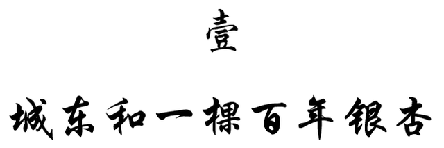 攀成钢的历史，攀成钢现在怎么样（这棵银杏记录下攀成钢的历史）