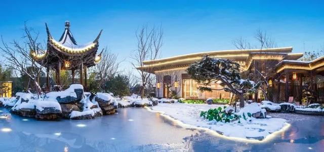 攀成钢的历史，攀成钢现在怎么样（这棵银杏记录下攀成钢的历史）