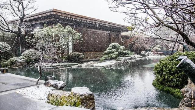 攀成钢的历史，攀成钢现在怎么样（这棵银杏记录下攀成钢的历史）