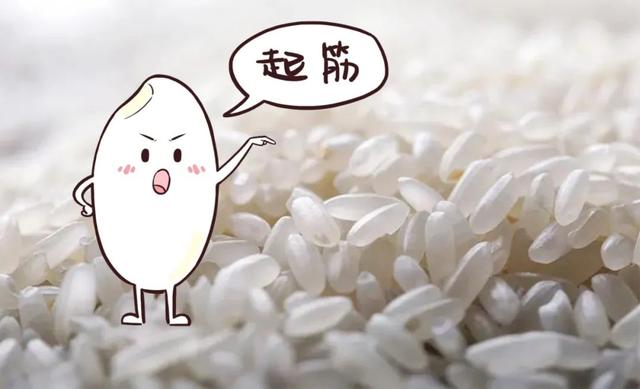 怎么判断大米是发霉了，大米如何辨别优劣u0026储存