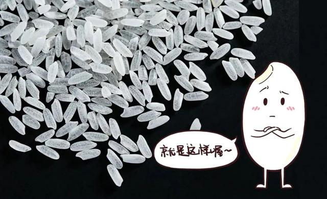 怎么判断大米是发霉了，大米如何辨别优劣u0026储存