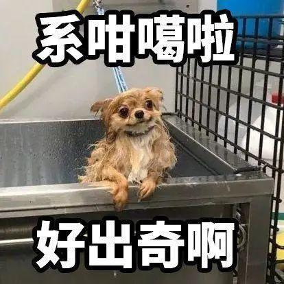 粤语语音转文字，粤语文字转语音（原来系广东人专属）