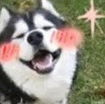 粤语语音转文字，粤语文字转语音（原来系广东人专属）