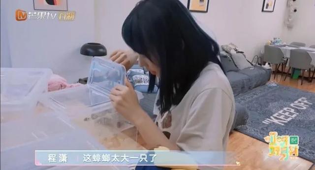 程潇女神超级美哦，微信头像，程潇女神超级美哦（娱乐圈最能宅的女明星找到了）