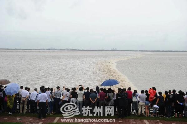 钱塘江观潮最佳时间和地点，钱塘江观潮最佳时间和地点是什么（今年八月十八钱江潮比去年大）