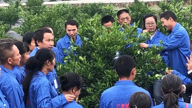 禾加一笔是什么字，禾字加一笔是什么字（乡村变美、群众变富...看）