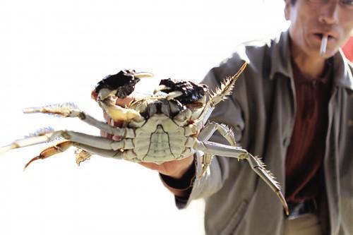 螃蟹蘸料怎么调，螃蟹蘸料怎么调好吃（吃河蟹为何要蘸姜汁）